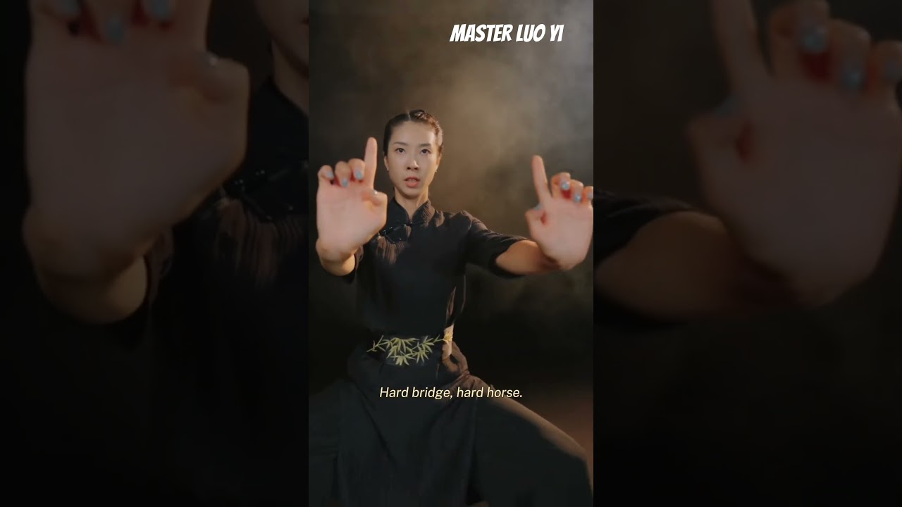 Breaking Boundaries: Hung Gar Masters as Cultural Ambassadors - Master Luo Yi