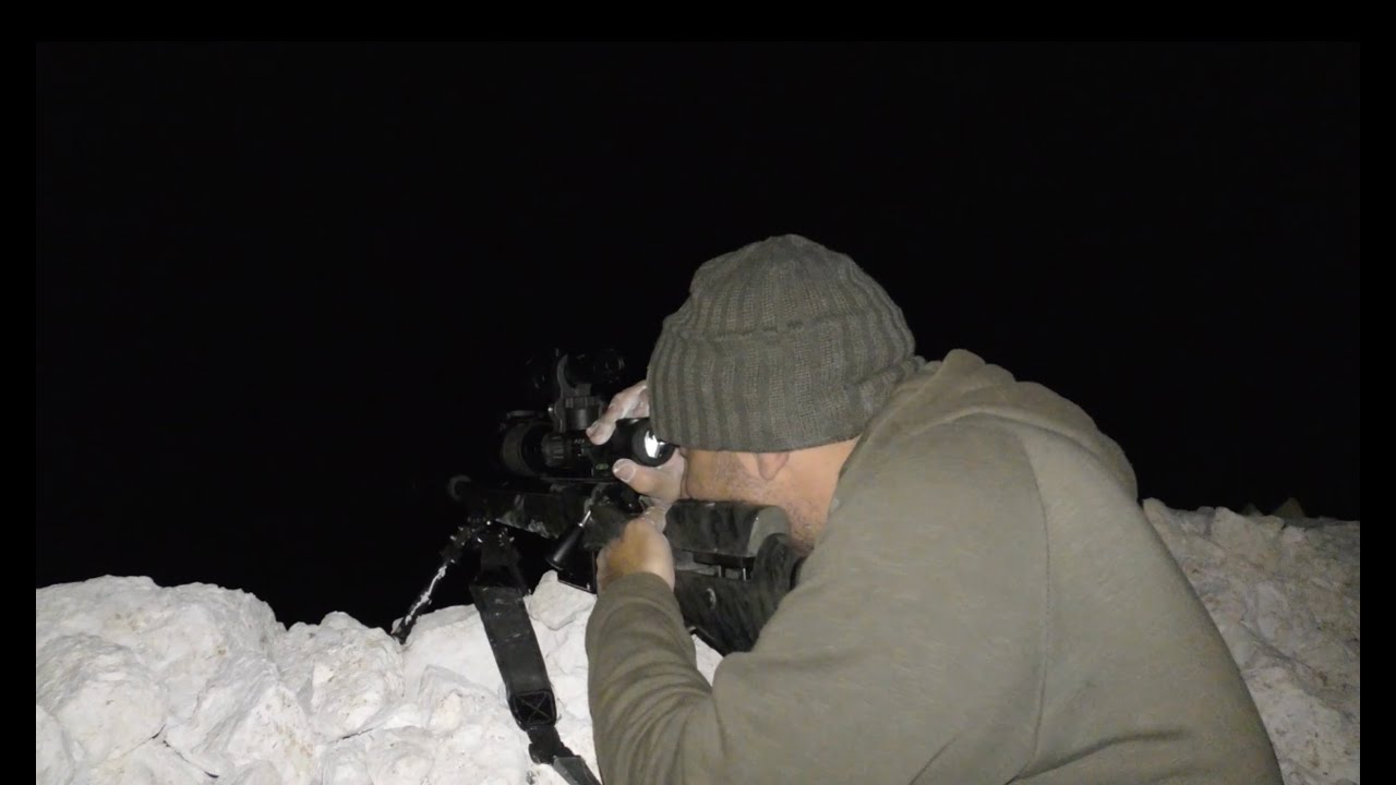 The Shooting Show - night Fox hunting with Mark Ripley AKA 260Rips