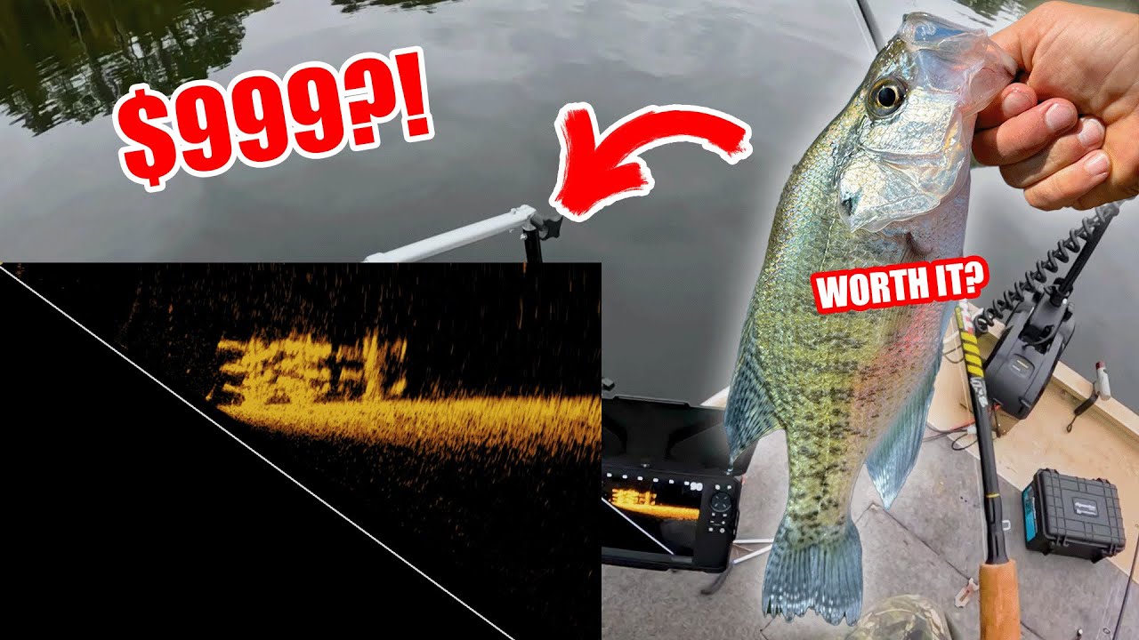 БЮДЖЕТНЫЙ LIVESCOPE?! Установка и обзор Lowrance Eagle Eye 9