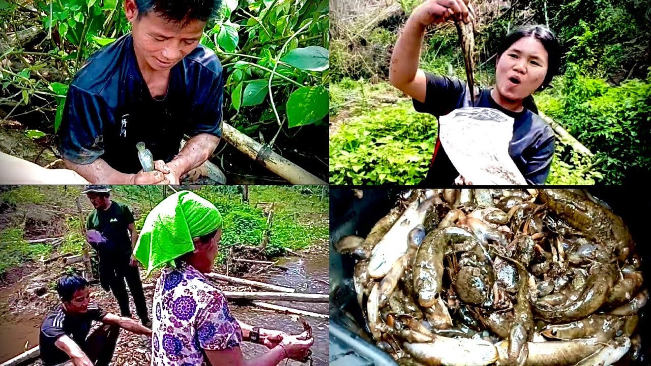 Forest Fun in Karenni State: Fishing, Crabbing & Tadpole Catching &ldquo;2026&rdquo;