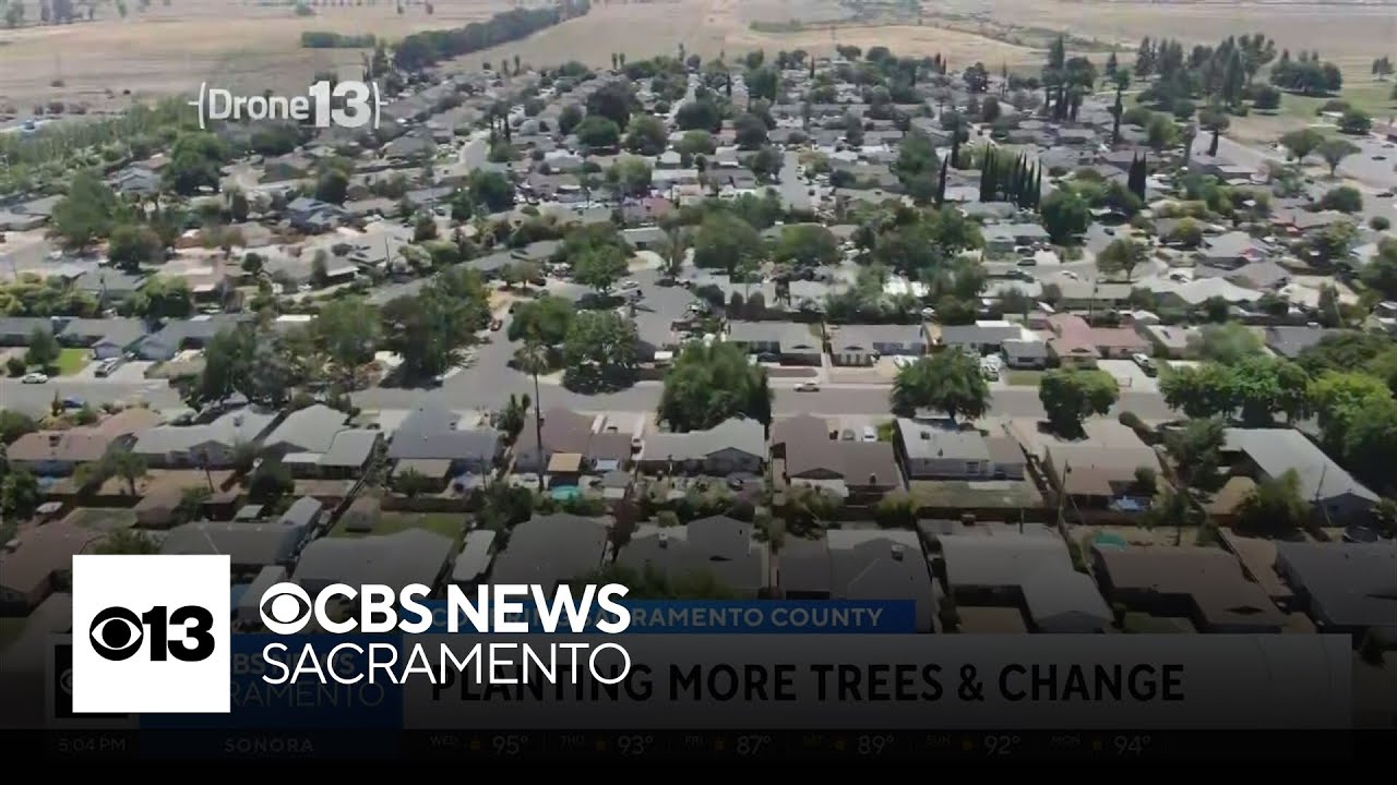 Sacramento wants to double its tree canopy over next two decades