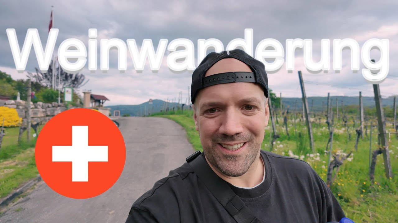 🍷 Weinwandern in der Schweiz: Von Aesch nach Basel – Ein perfekter Tag!