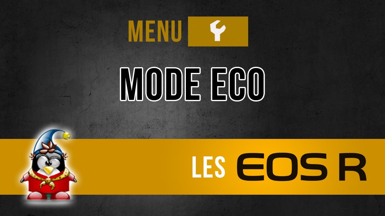 Les menus des Canon R - Mode eco