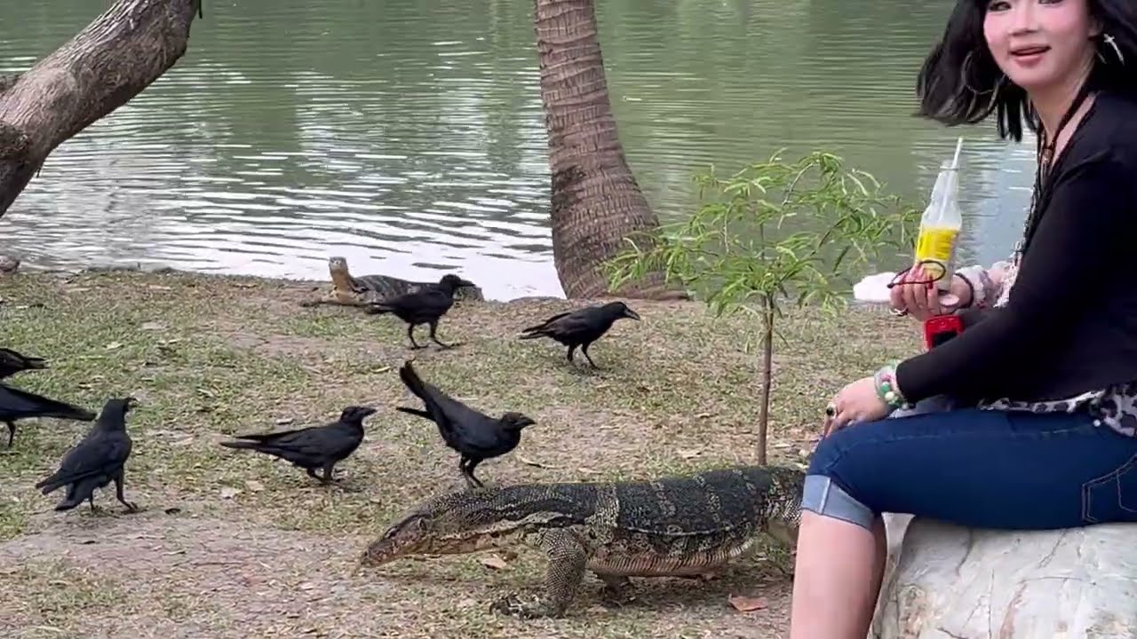 Lumphini Park Bangkok สวนลุมพินี 2026