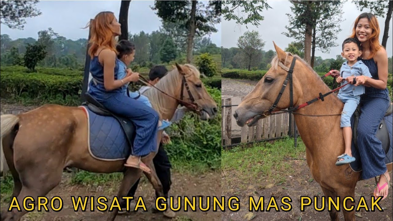 BERKUNJUNG KE AGRO WISATA GUNUNG MAS PUNCAK BOGOR