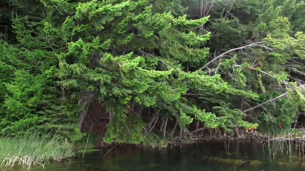 PATAGONIA