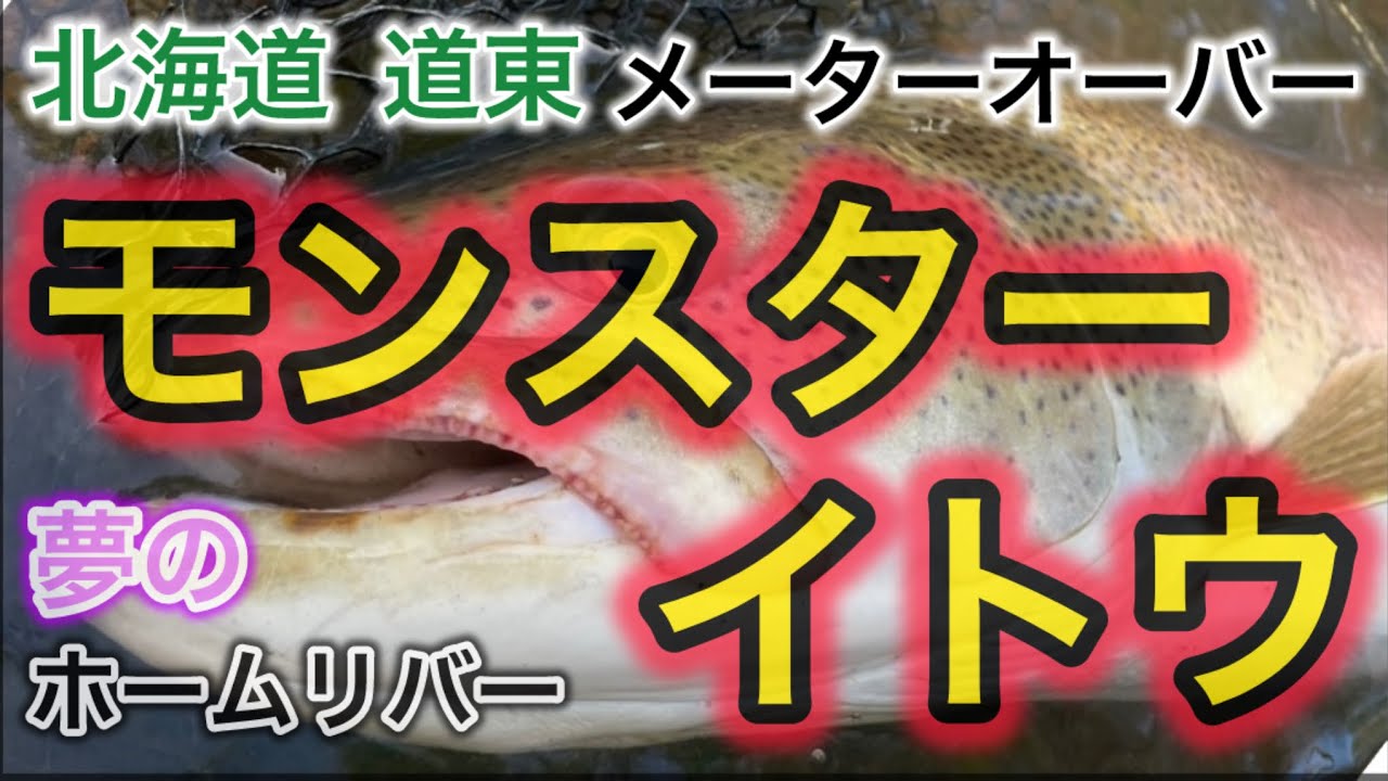 【北海道 釣り 鬼13】日本三大怪魚!! 夢にまで見た 道東 ホームリバーのモンスターイトウ 