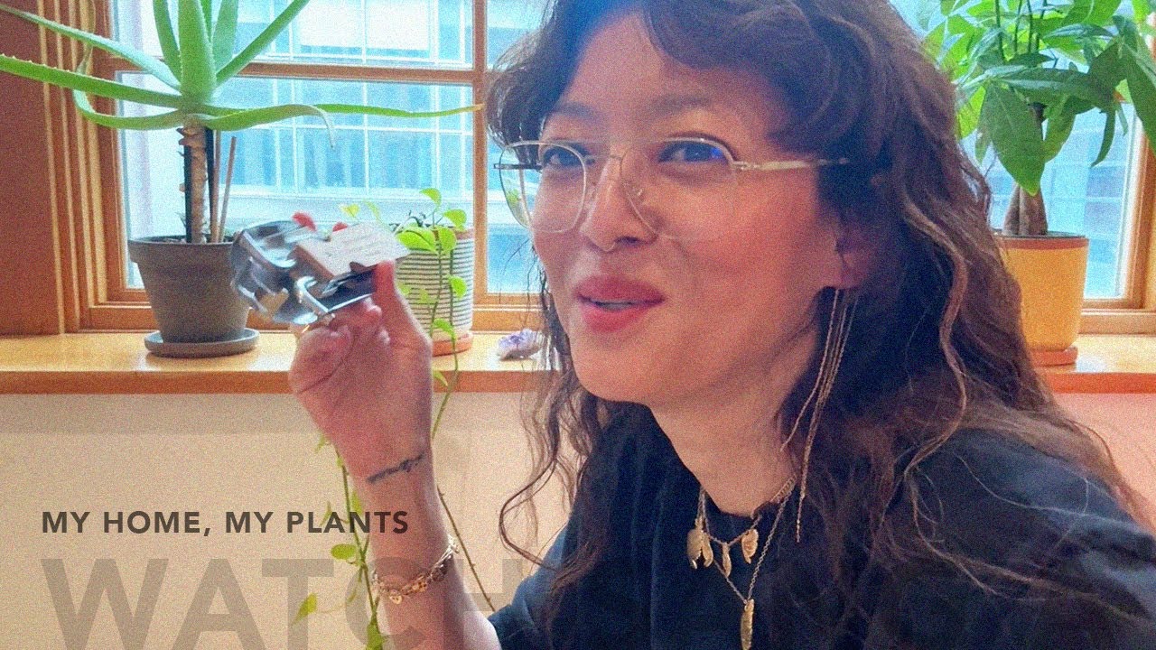 My Home, My Plants