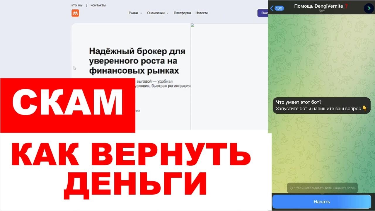 MELSMIRZIS (MELSMIRZIS.INFO, MELMR-ZIS.PRO) ОБЗОР И ОТЗЫВЫ 2026. СКАМ?