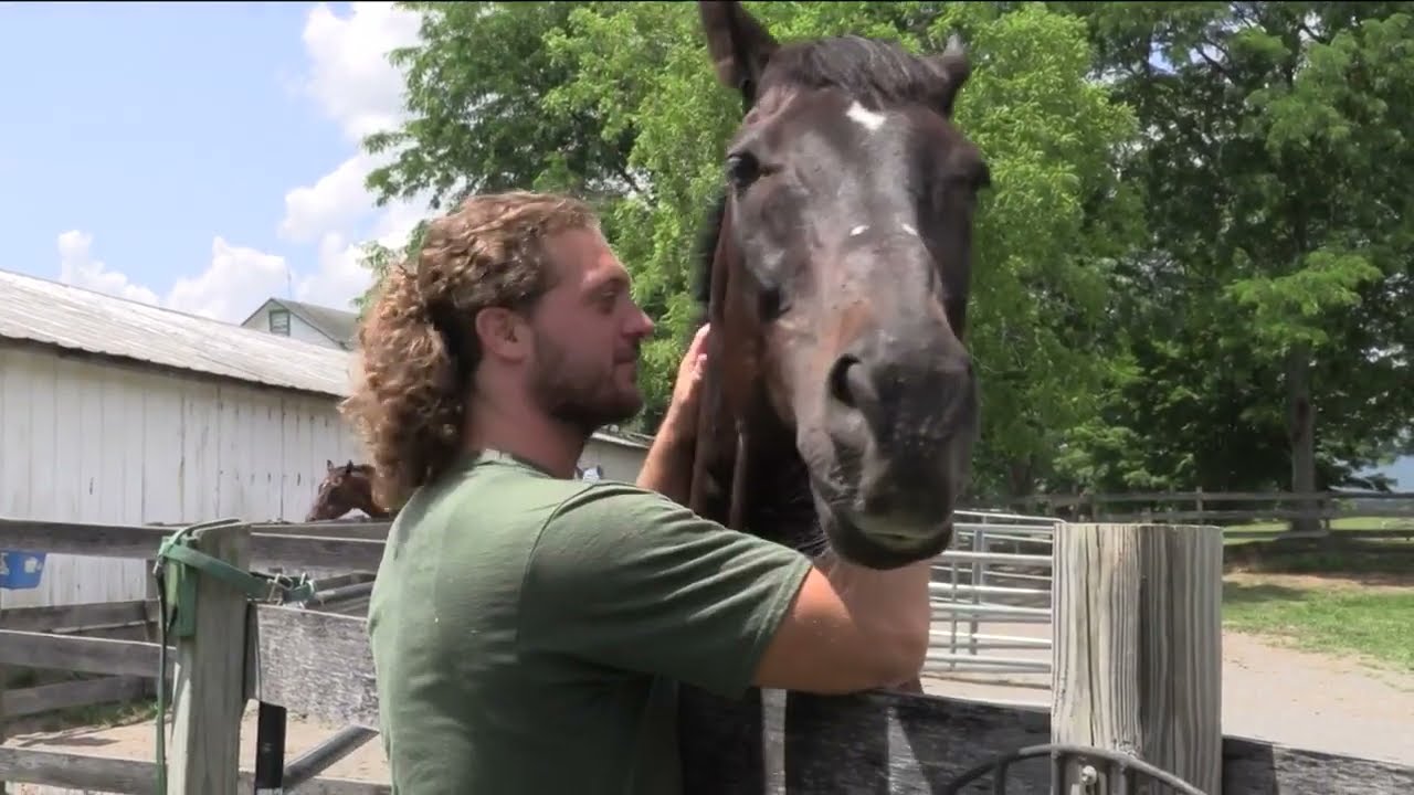 Thoroughbred Retirement Foundation Program at Wallkill Correctional Facility NY