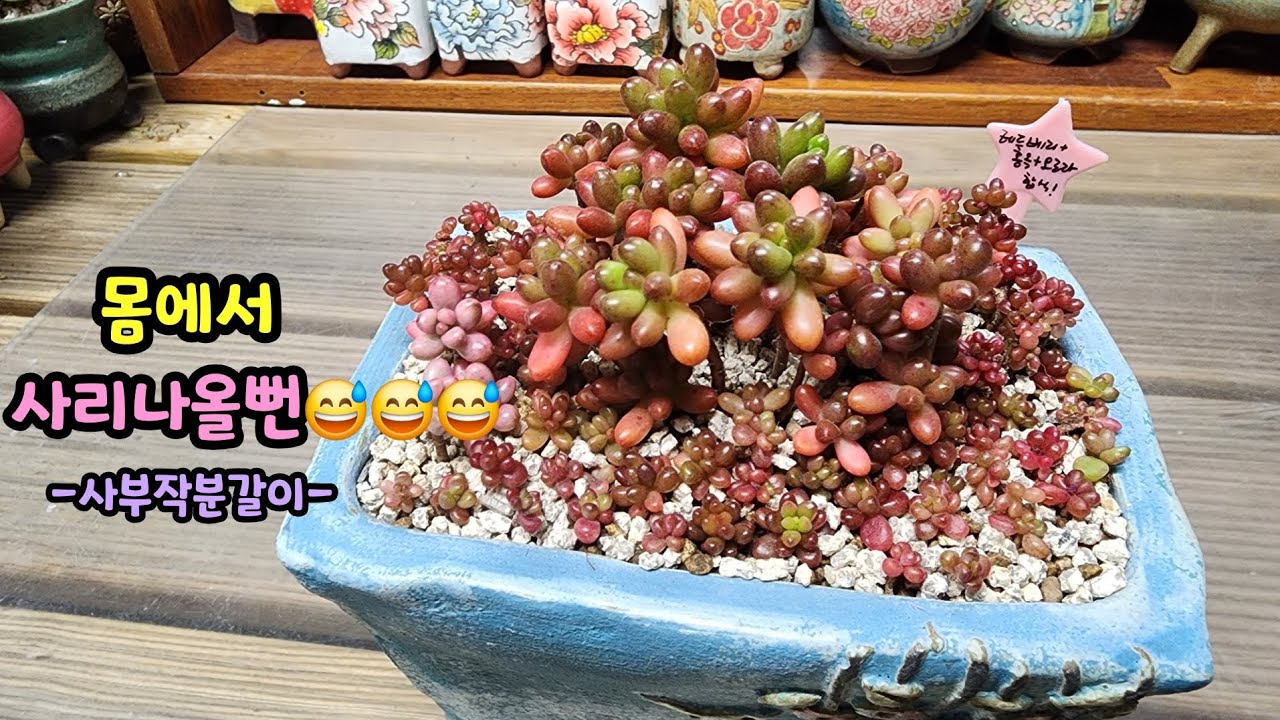 260301 전체가각몸ㅠ말도할수가없었어요😅몸에서사리나올뻔했네요~^^😂