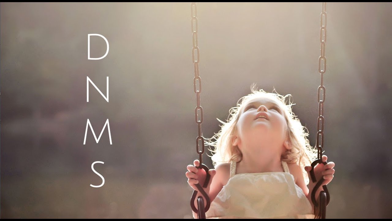 Introduction to the DNMS (Developmental Needs Meeting Strategy)