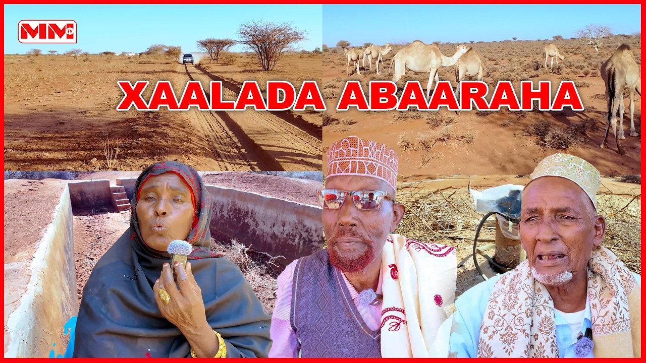 Saamaynta Abaarta Biyo la’aanta & Xanuunka xumada oo ku dhuftay Deeganka Dhagax-Dheer ee G-Togdheer