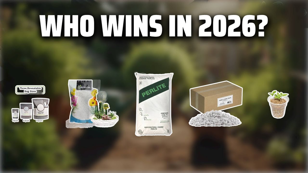 The Top 5 Best Bulk Perlite in 2026 - Must Watch Before Buying!