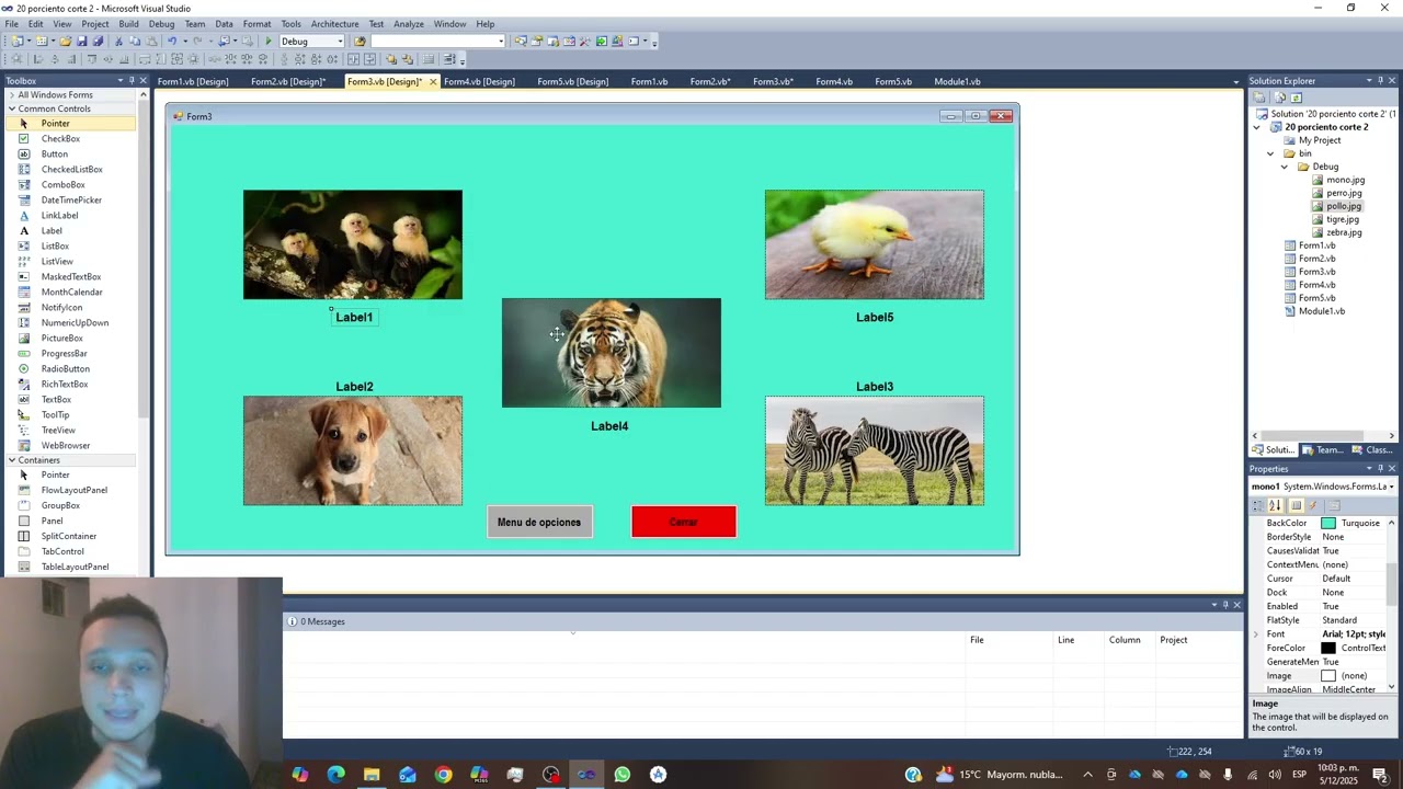 select case, do while en visual basic 2010