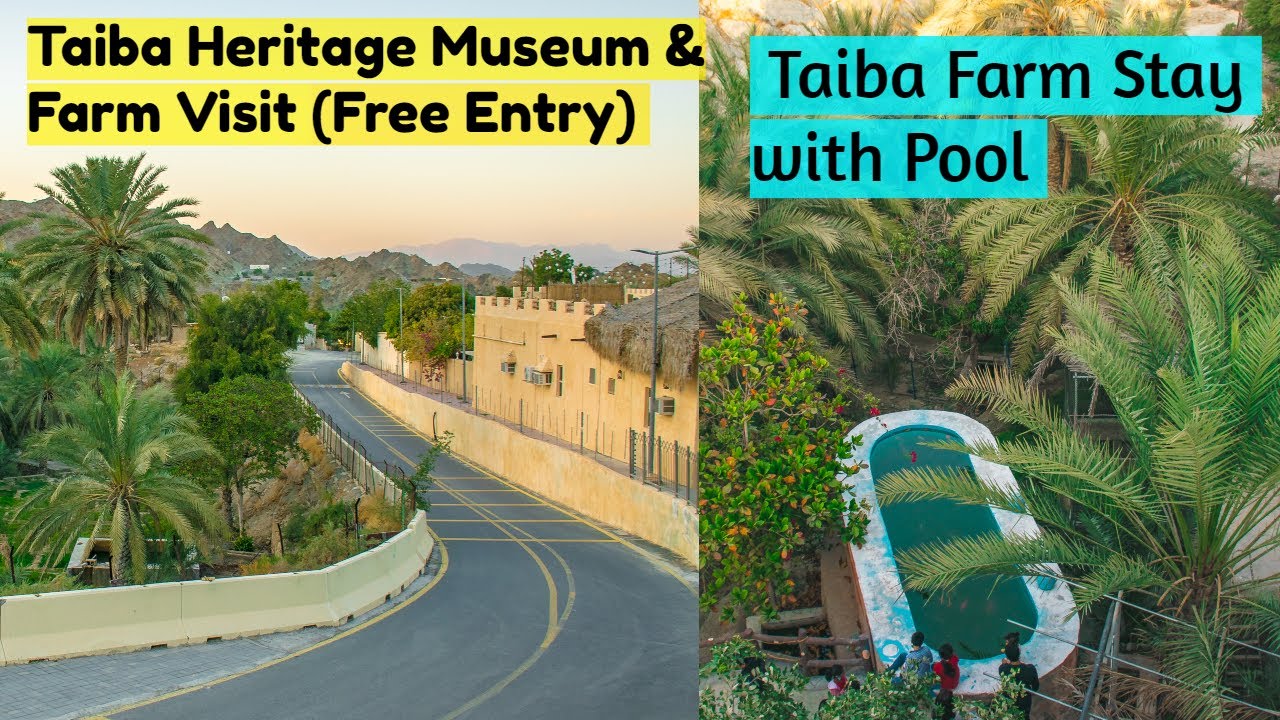 Exploring Al Taiba Heritage Museum l Taiba Farm Stay with Pool l Fujairah