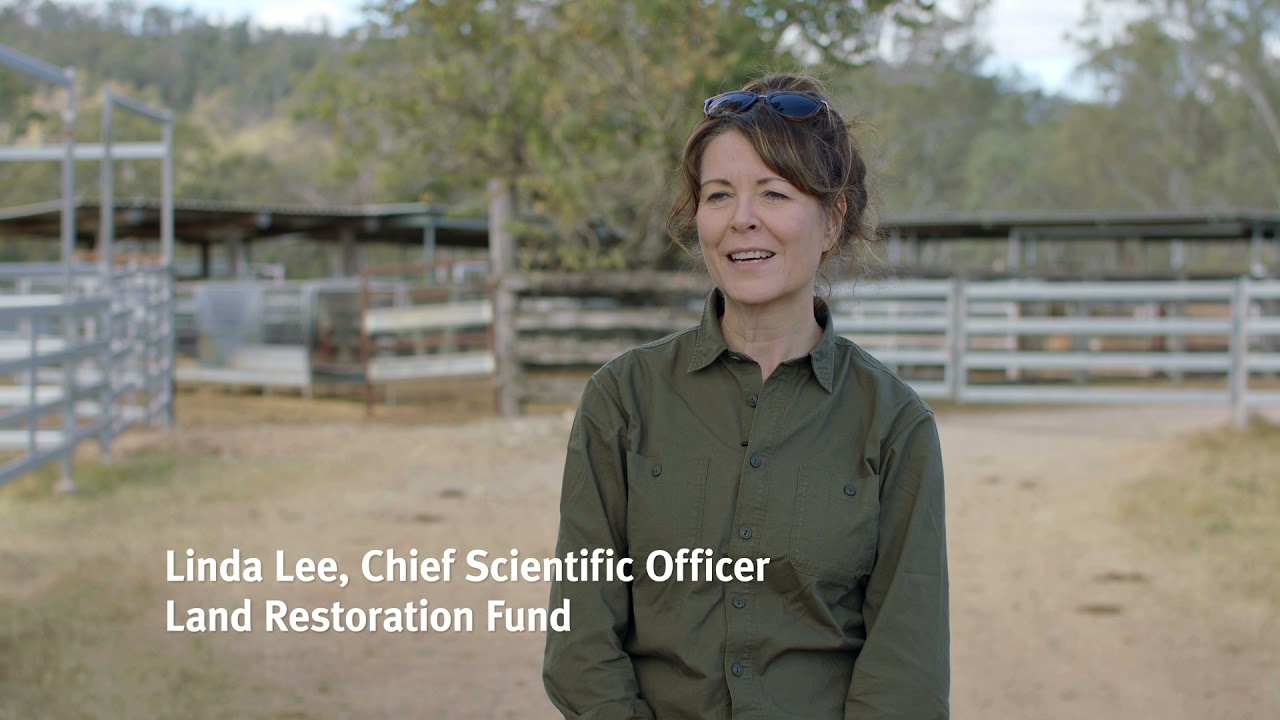 Grazing and regenerative agriculture, Central Queensland