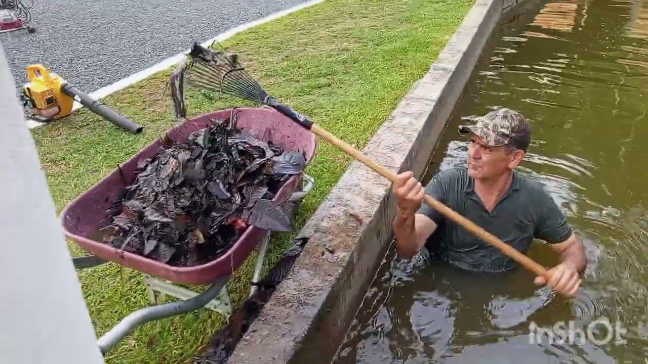 COMEÇAMOS A LIMPAR A LAGOA..