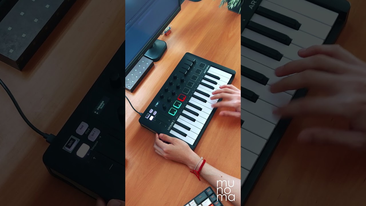 Avicii - Wake Me Up (Live Loop Cover) | Minilab 3