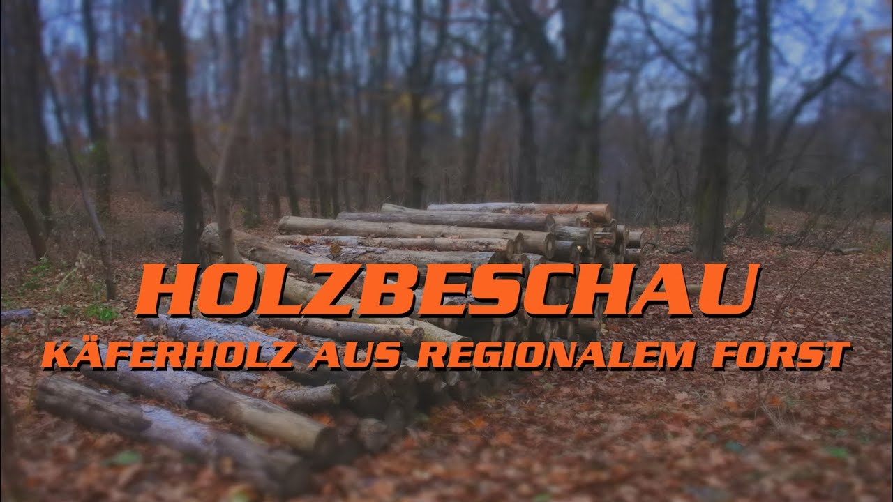 Wie funktioniert eine Holzbeschau? - diesaegewerkerei kauft K&auml;ferholz | Hinter den Kulissen in 4K