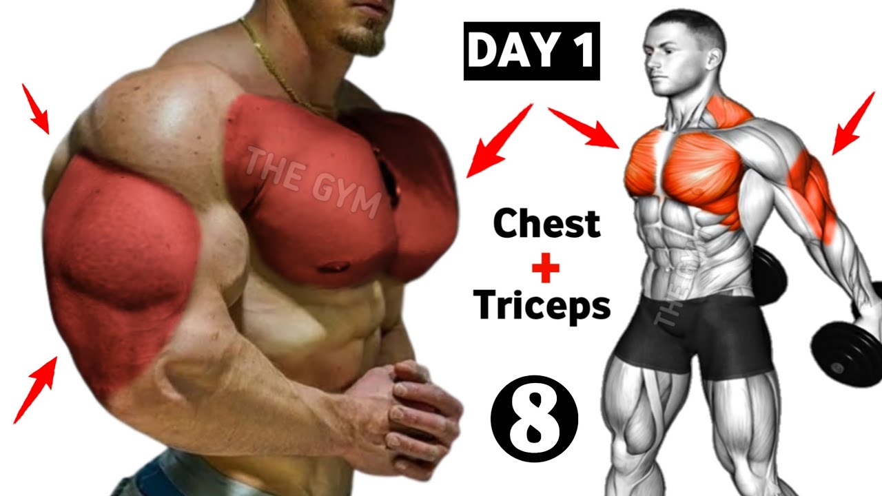 Day 1 Chest & Triceps Workout | Full Week Gym Plan for Muscle Growth