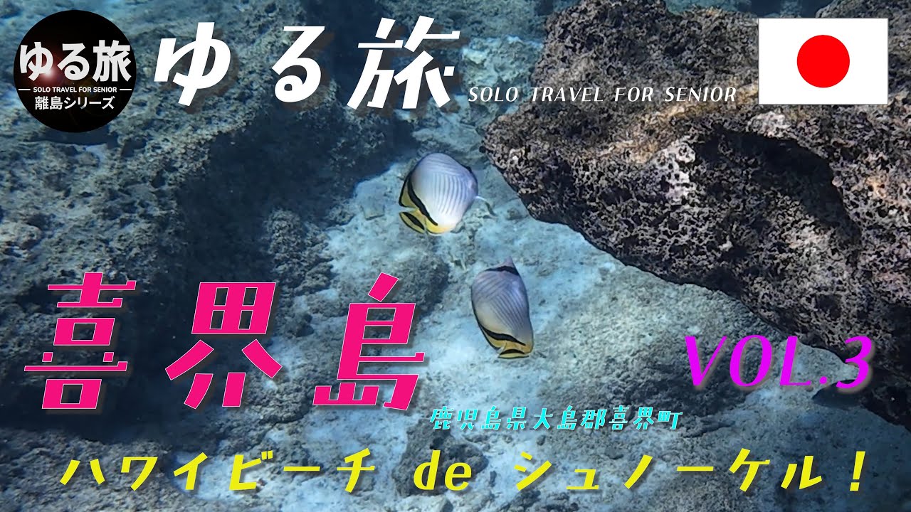 喜界島　ハワイビーチでシュノーケル　こんなにいるのか熱帯魚　3日目　Vol.3
