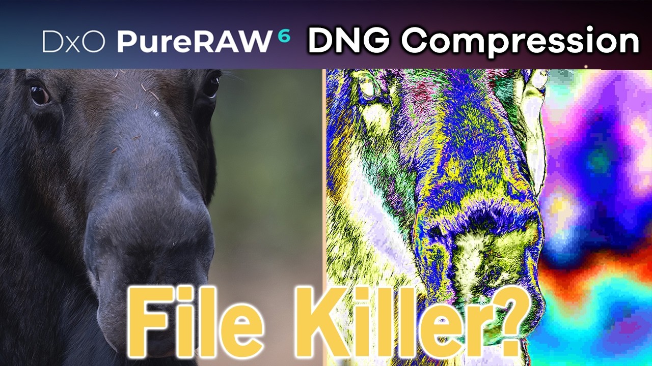 NEW… PureRAW6 and DNG Compression Results 