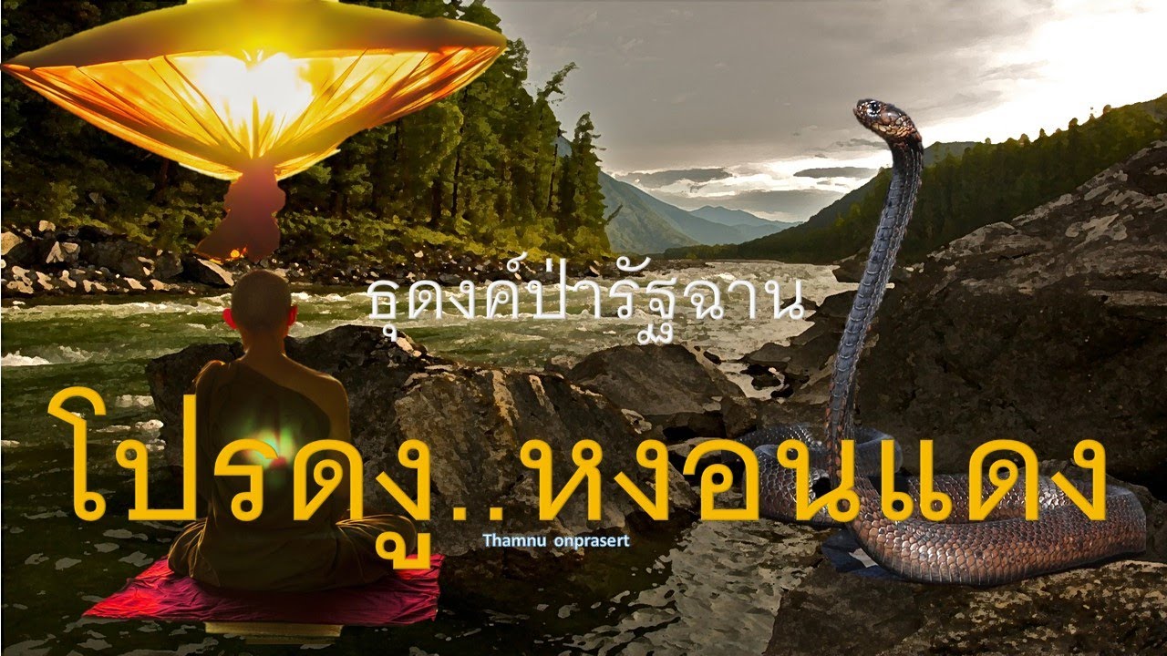 ๑๕๔.โปรดงู..หงอนแดง ธุดงค์ป่ารัฐฉาน