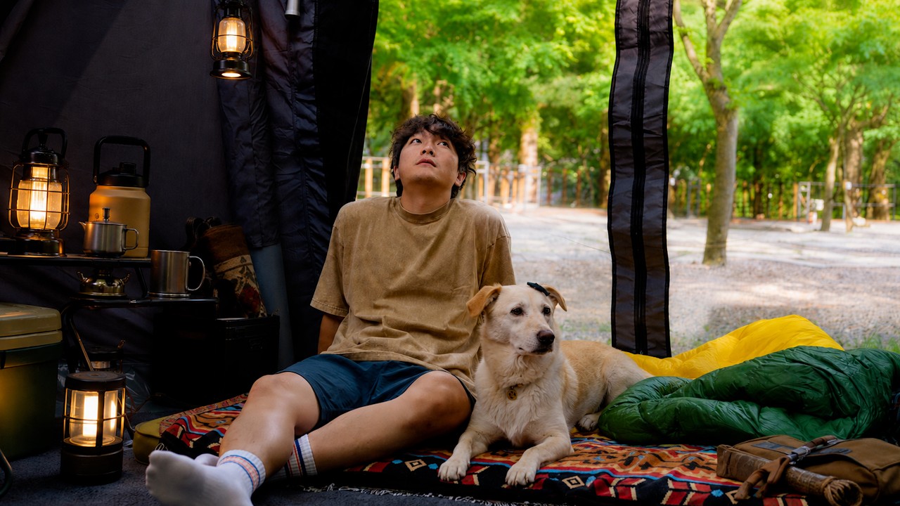 We Did Nothing&hellip; and It Was Perfect | Forest Creek Camping with My Dog 🐶🌿 ASMR