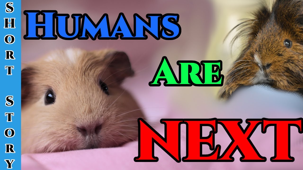 1405 -  The Curators by AltCipher  | HFY | Humans Are Space Orcs | Cute Animals make Humans next
