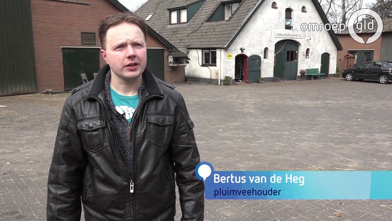 Duizenden kippen komen om bij stalbrand in Scherpenzeel
