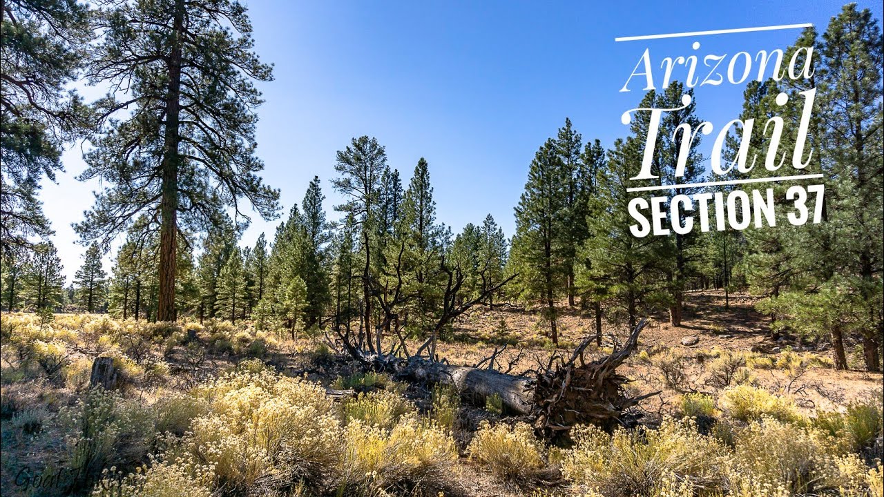 Hiking - Arizona Trail - Section 37 - Grand Canyon South Rim