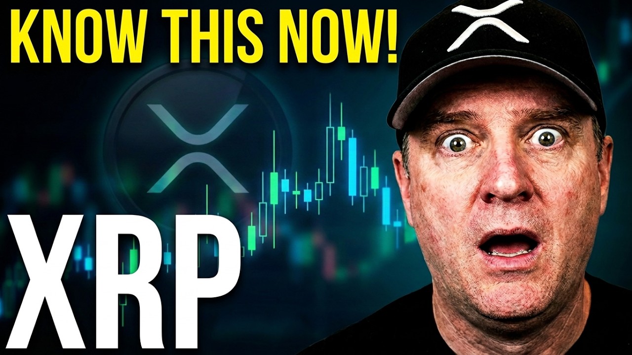 СРОЧНОЕ ОБНОВЛЕНИЕ ПРОГНОЗА ЦЕНЫ XRP 🚨 ВАМ УЖЕ ГОВОРИЛИ ОБ ЭТОМ ‼️