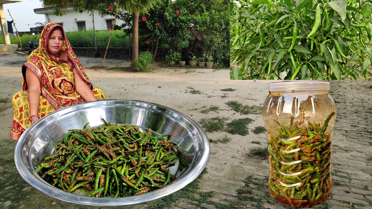 मिर्च का अचार बनाने का ऐसा नया तरीका की सालों तक नहीं खराब होगा | INSTANT GREEN CHILLI PICKLE RECIPE