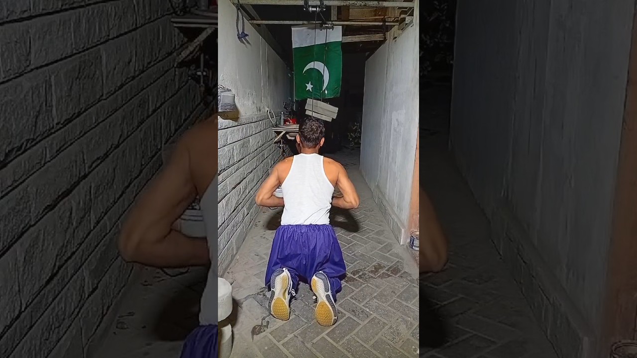 6 best back House workout