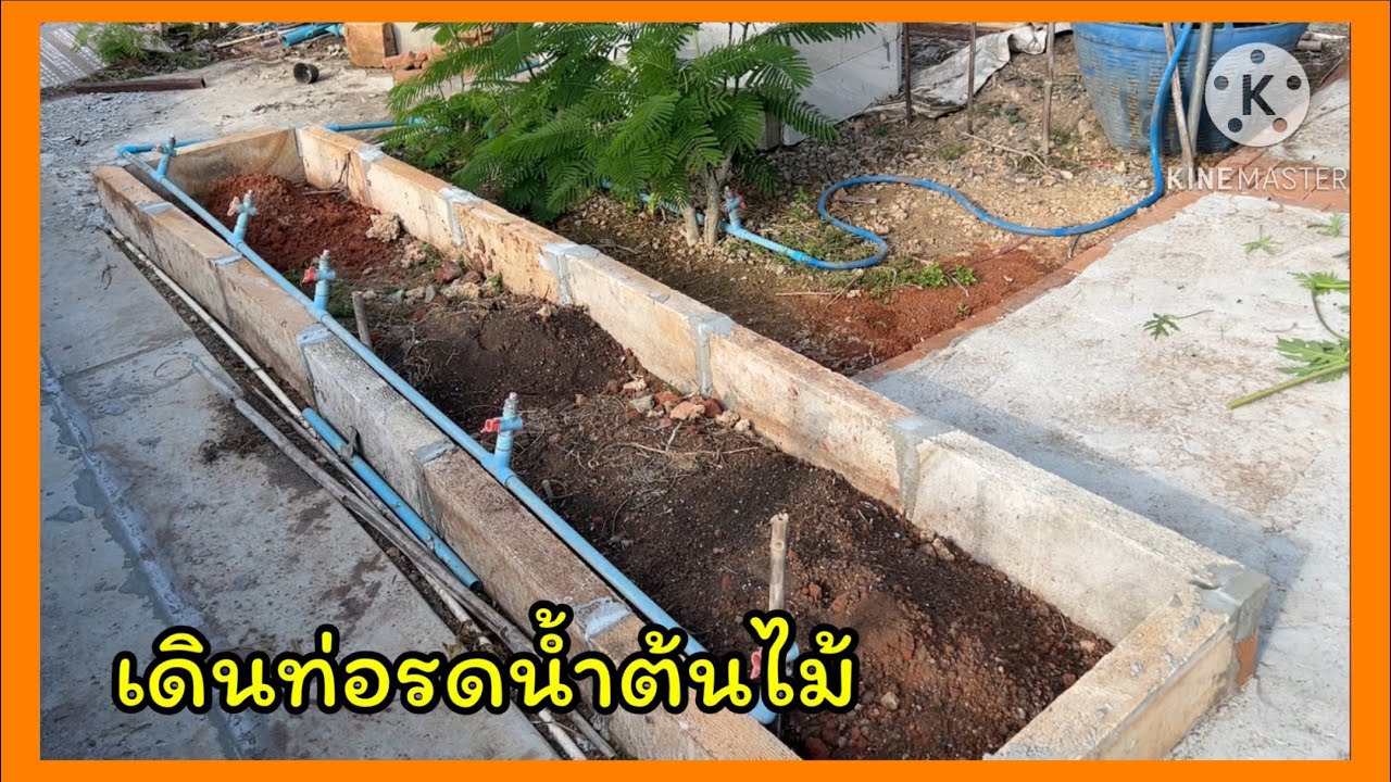 ทำระบบรดน้ำที่แปลงผักหลังบ้าน🪴🐶🪴