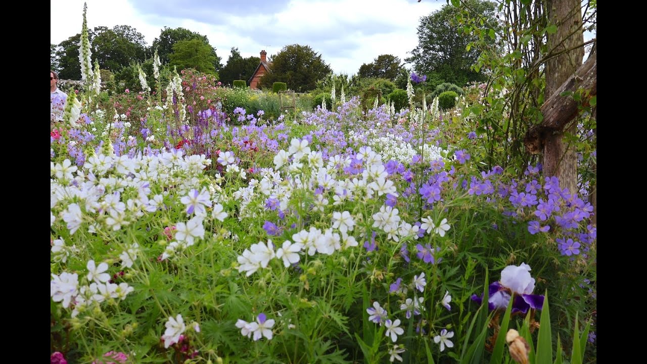 Colour Burst at Mottisfont | Summer 2024
