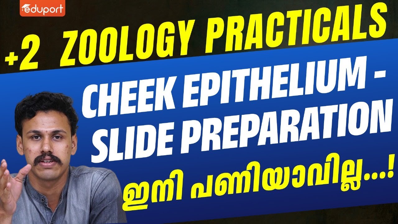 Plus Two Zoology Practical | Cheek Epithelium - Slide Preparation | Eduport plus two