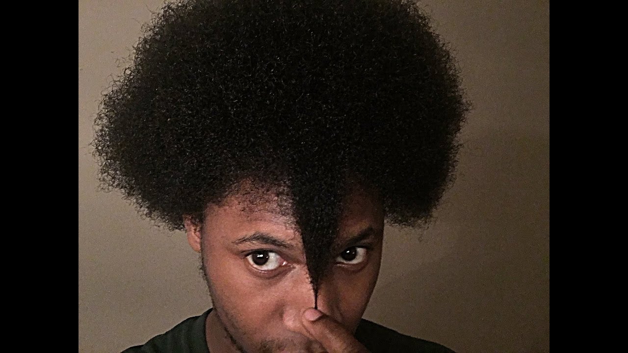 AFRO JOURNEY | 8 MONTH FRO UPDATE LENGTH CHECK