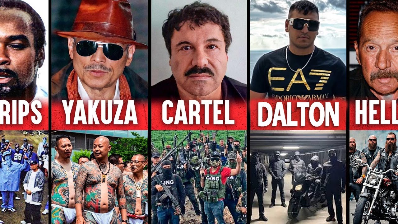 D&uuml;nyanın En Korkun&ccedil; &Ccedil;eteleri! ( FBİ bile bu &ccedil;eteden korkuyor )