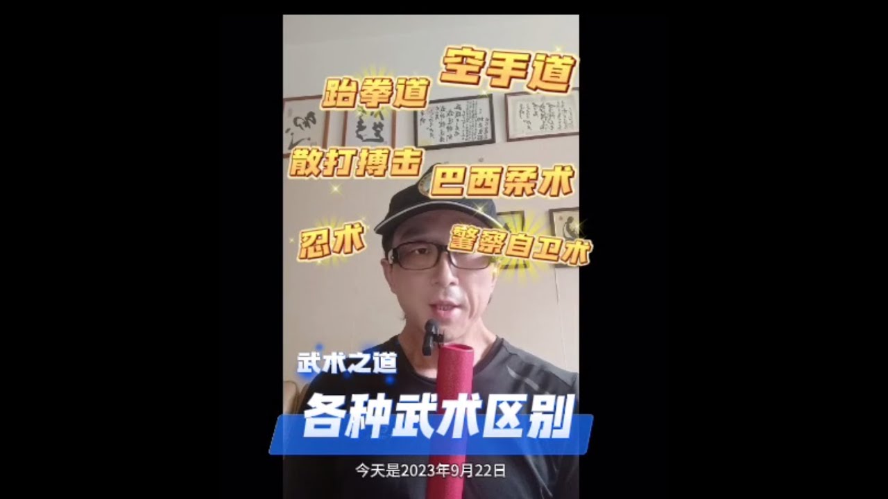 各种武术区别？空手道跆拳道区别？如何选择！？what's the main difference of different martial arts?Karate?Taekwondo?Kungfu?