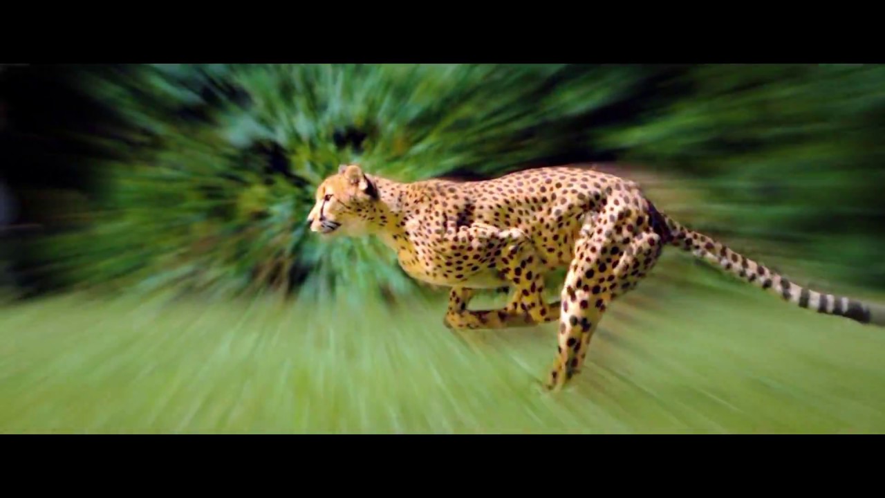 New Nepal Telecom 4G TVC : Mira Rai / Dinesh DC