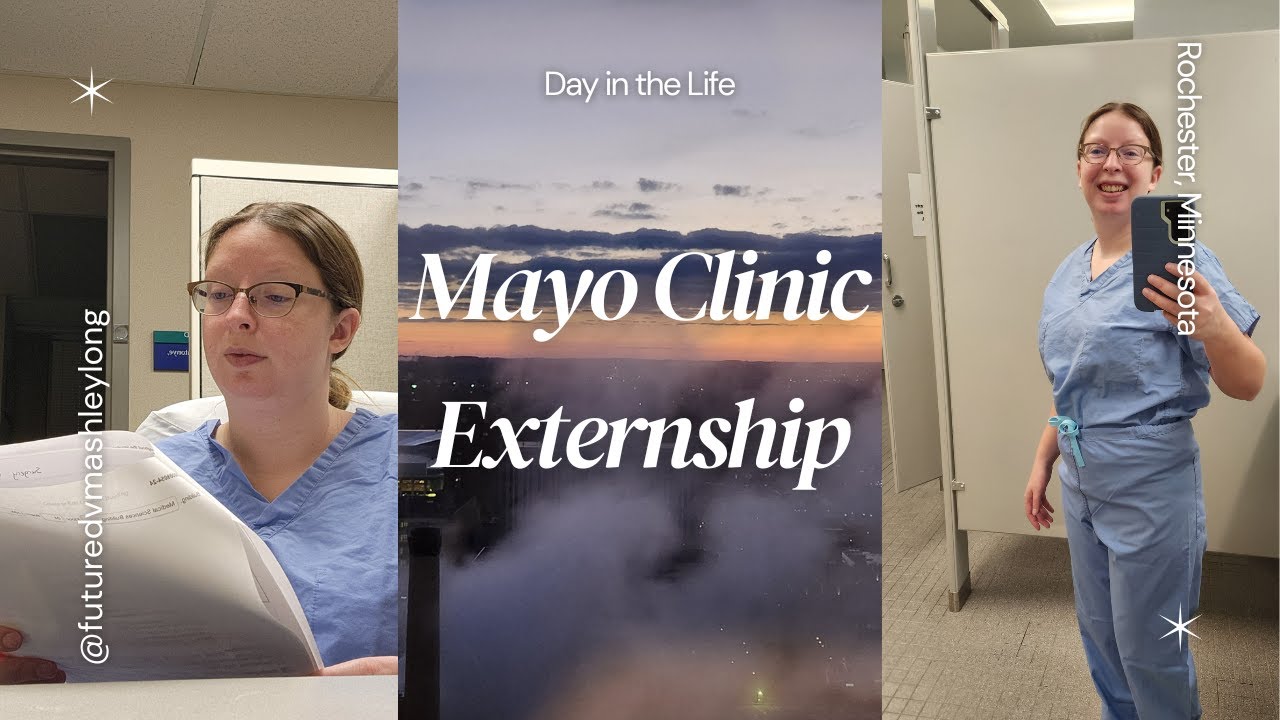 Day in the Life of a Veterinary Student Extern at the Mayo Clinic