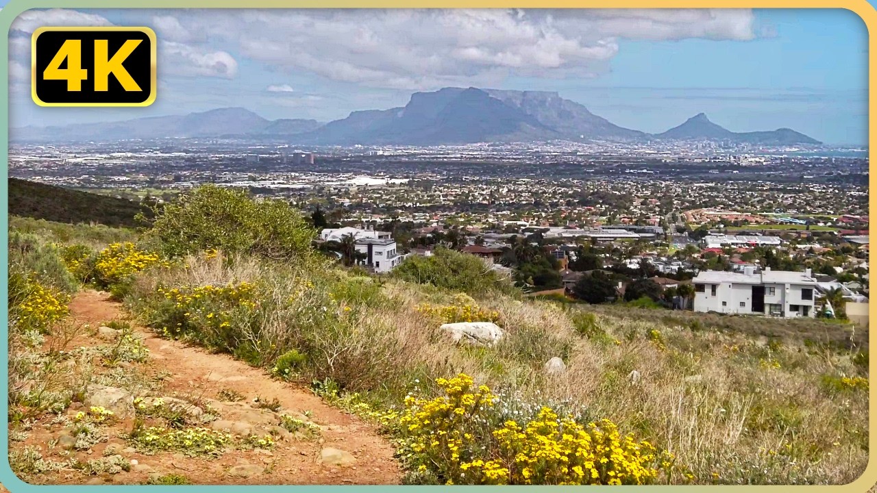Tygerberg Nature Reserve  |  Hike in an Ancient, Endangered Biome with Breathtaking Views (4K POV)