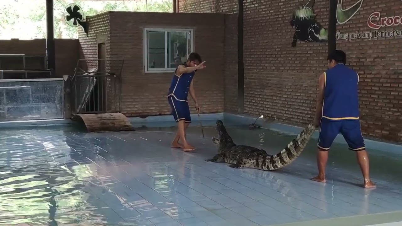 Samut Prakan Crocodile Farm and Zoo