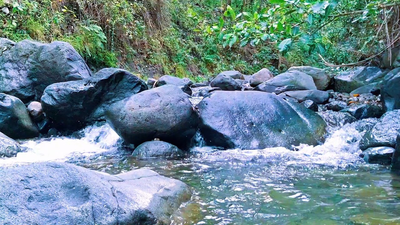 Relaxing River Sounds for Bedtime Calm