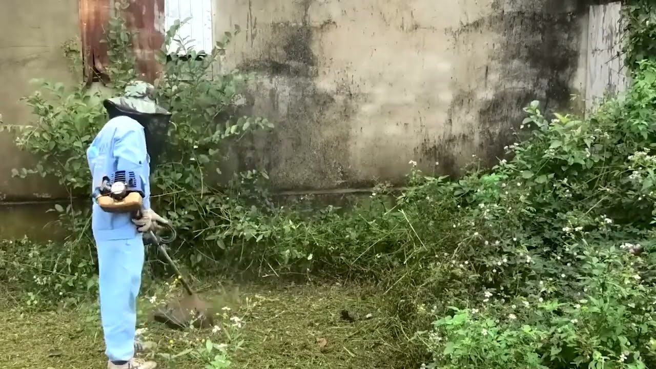 Shocking Discovery! Cleanup Crew Finds Pair of Giant Pythons in Abandoned House! We Are in Danger!