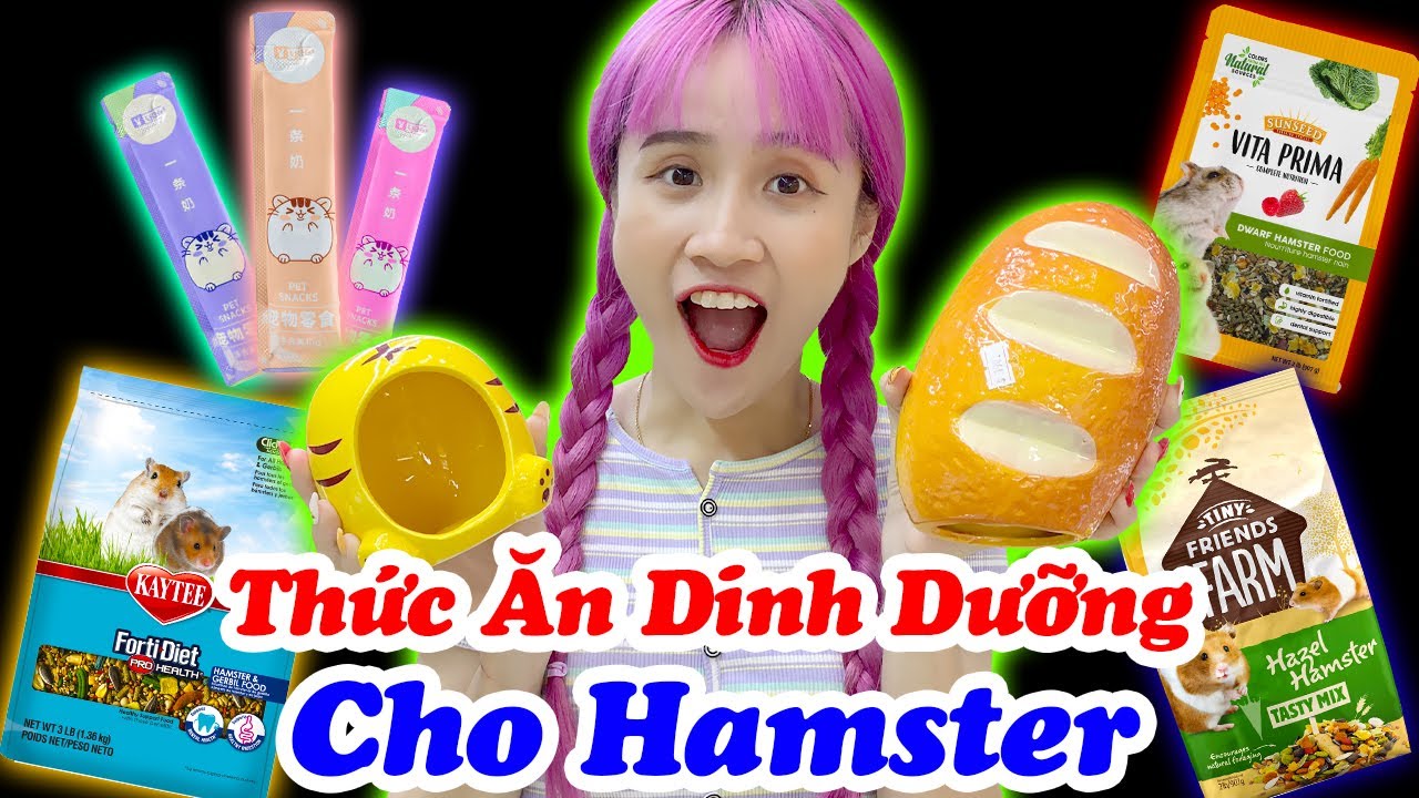 1 Ngày Đi Mua Thức Ăn Đủ Loại Cho Chuột Hamster - Vê Vê Animal