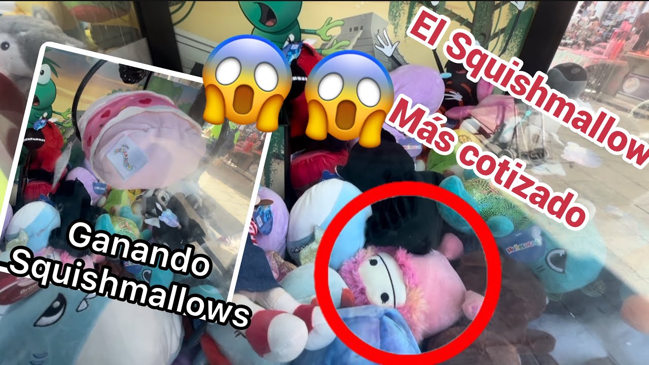 Encontré al Squishmallow más cotizado de muñelocos | ¿Logré ganarlo? 🤔