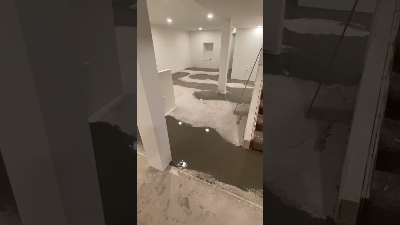 Basement Update 2/2/2026